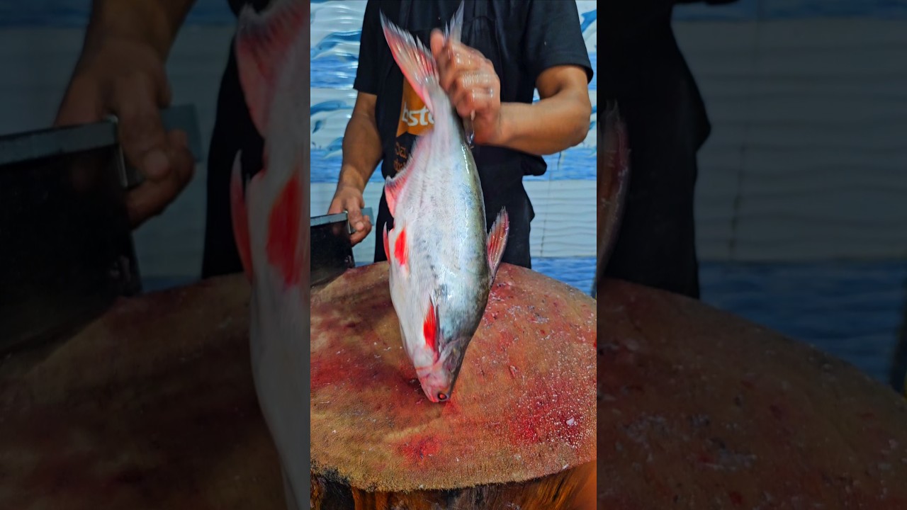 Basa fish Pangasius machi #trending #fishcuting #fishcooking #food #viralvideo #instagram #fish