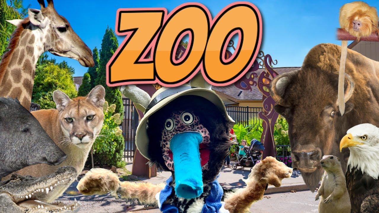 Elmwood Park ZOO! || Puppets Gone Wild Episode 2