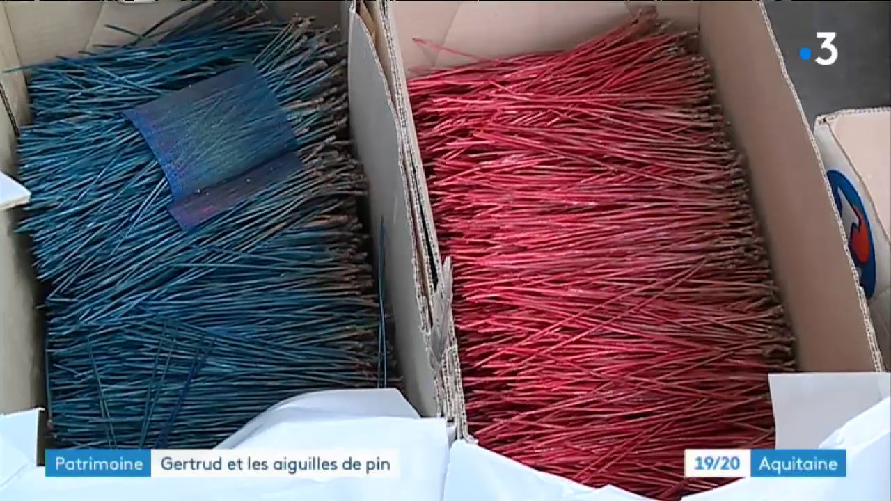 Gertrud Varailhon et les aiguilles de pin