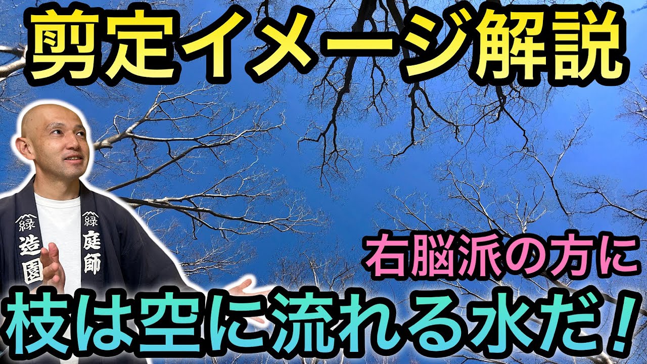 【剪定が急にうまくなる！】流れを読むだけで迷いが消える、庭師30年の剪定思考