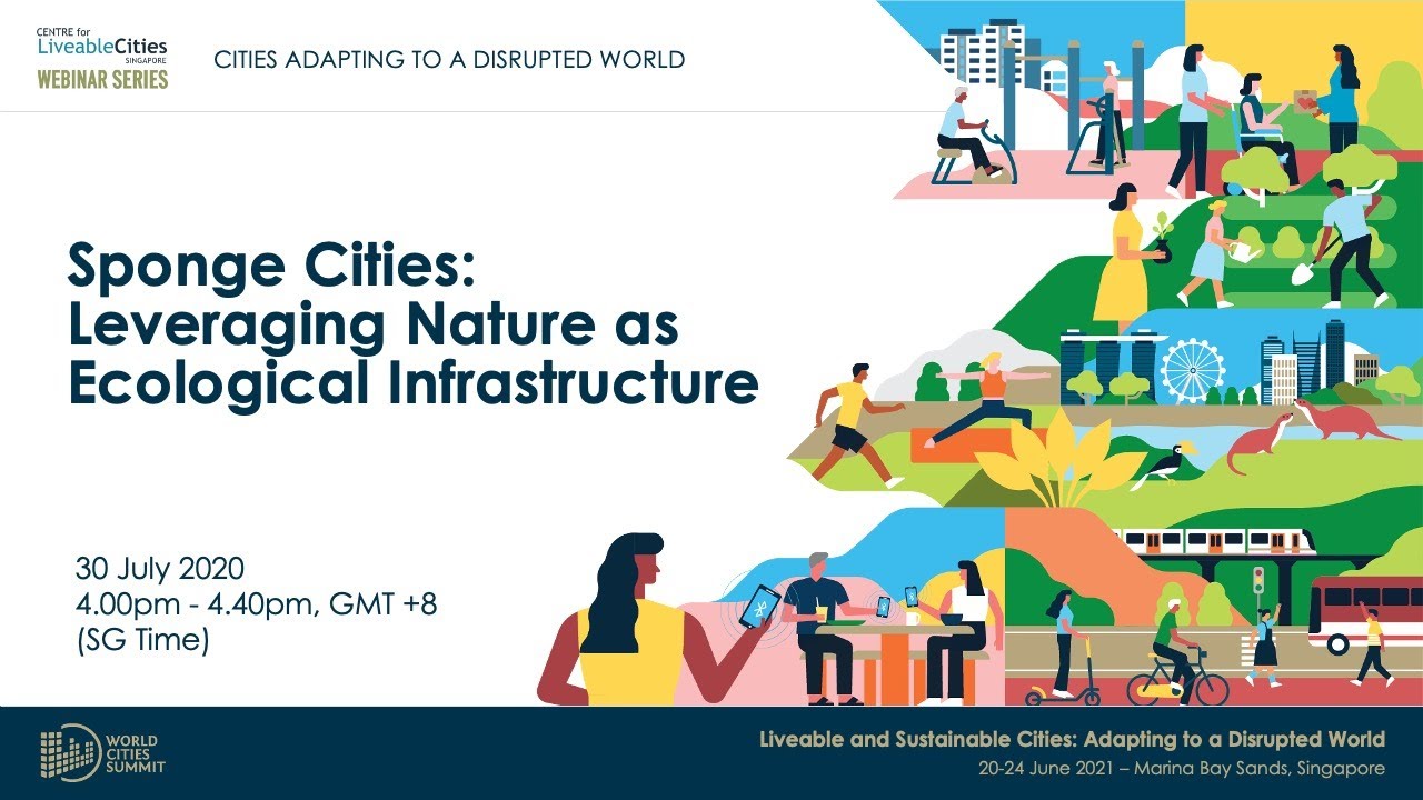 Sponge Cities: Leveraging Nature as Ecological Infrastructure