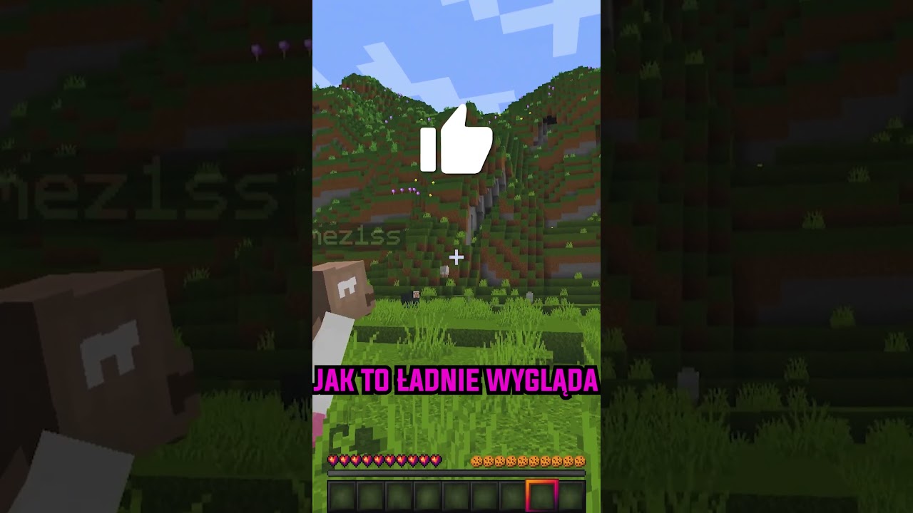 KIEDY CHCESZ ODPALIĆ SHADERY W MINECRAFT
