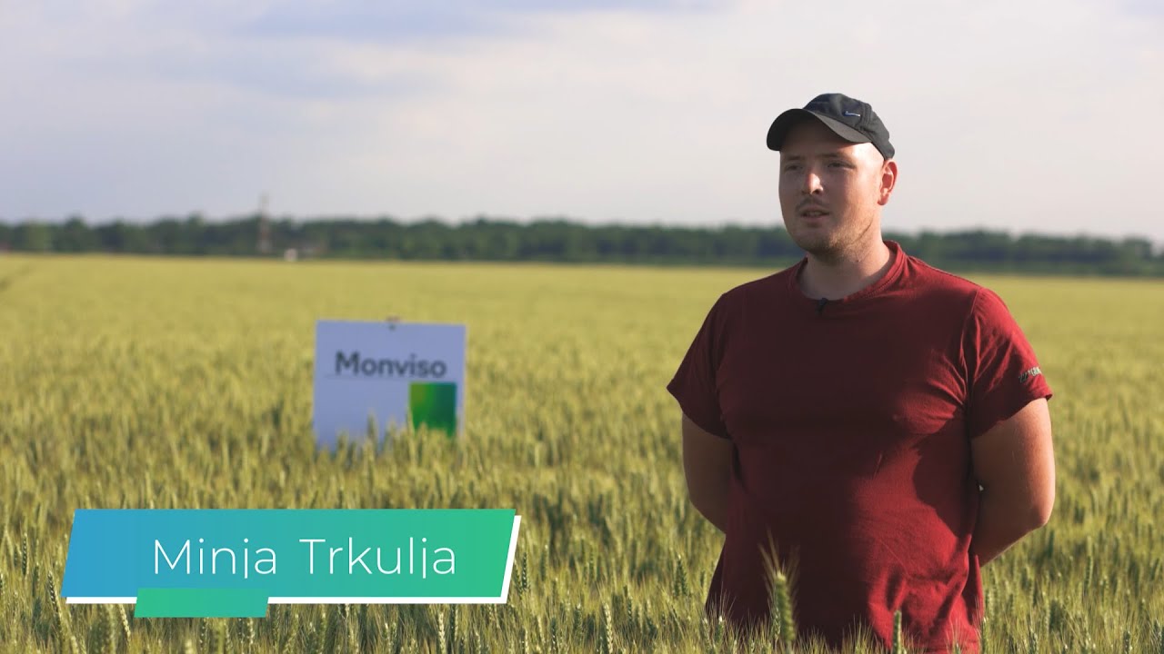 Agromarket sorte strnih žita - MONVISO I COMILFO 2023