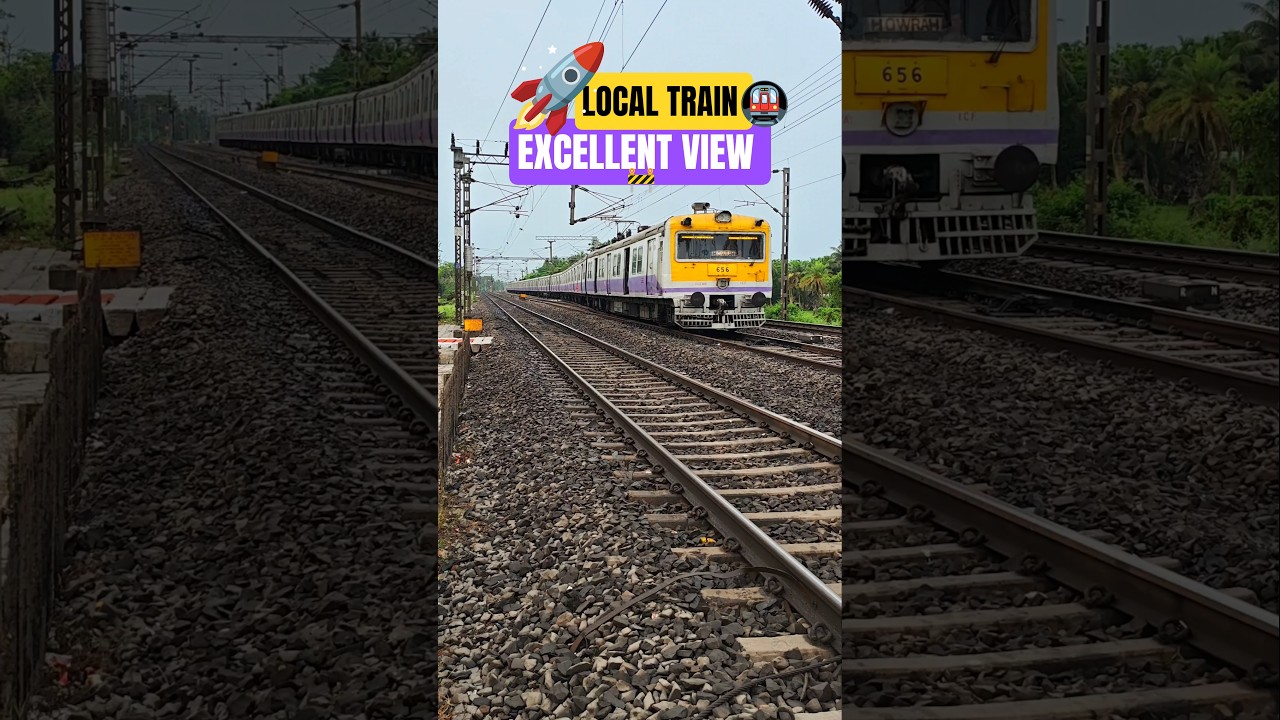 Local Train Excellent View👌🏻 #train #localtrain #shorts