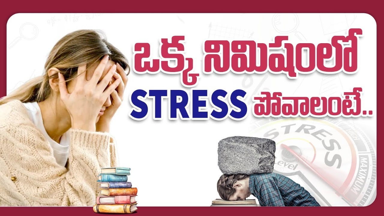 Overcome Stress When Studying: Secrets to Stay Focused and Addictions-Free | Social Post Edu Hub
