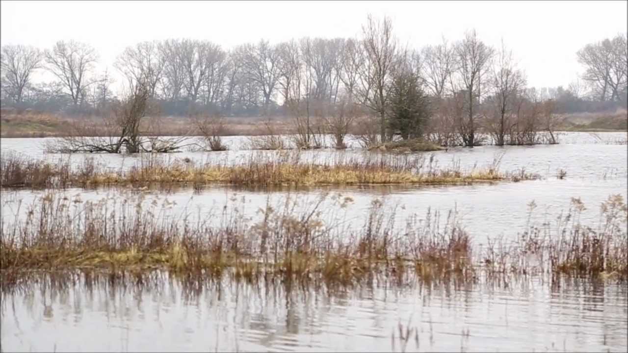 Millingerwaard in januari