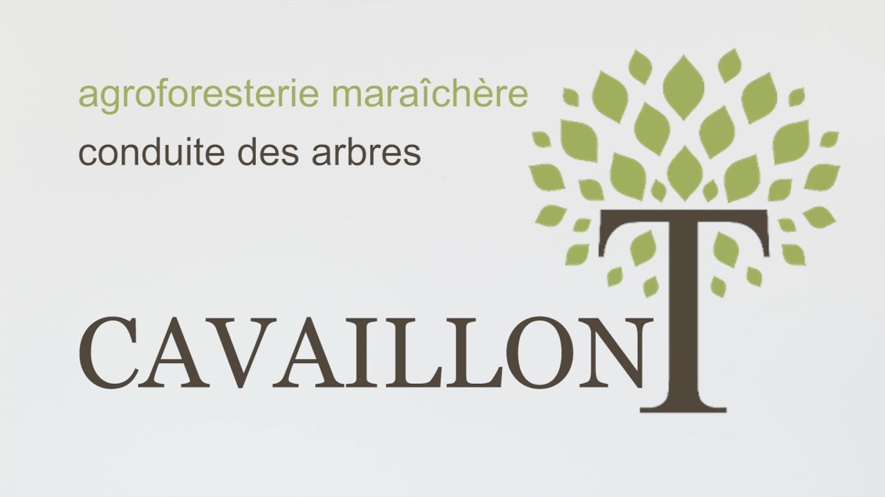 CONDUITE DES ARBRES - Cavaillon