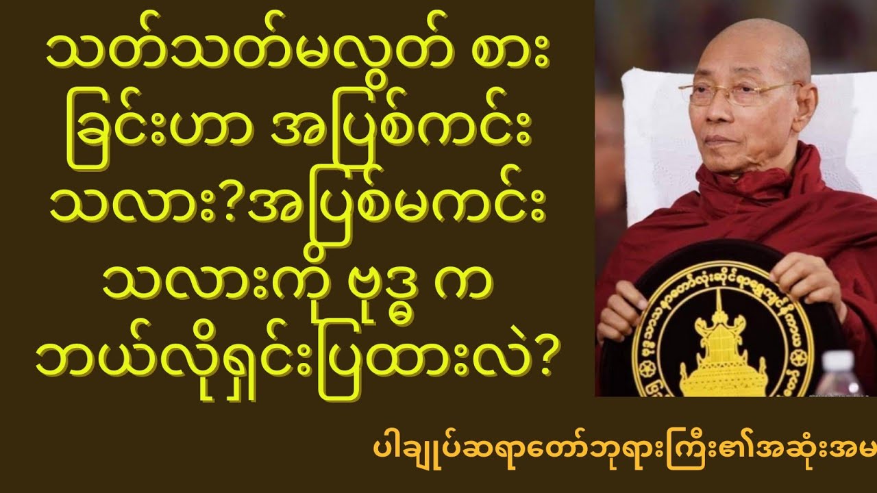သက်သက်မလွတ်စားခြင်းဟာ အပြစ်ကင်း မကင်းကို ဗုဒ္ဓက ဘယ်လိုရှင်းပြထားသလဲ?#တရားတို#ပါချုပ်ဆရာတော်ဘုရားကြီး