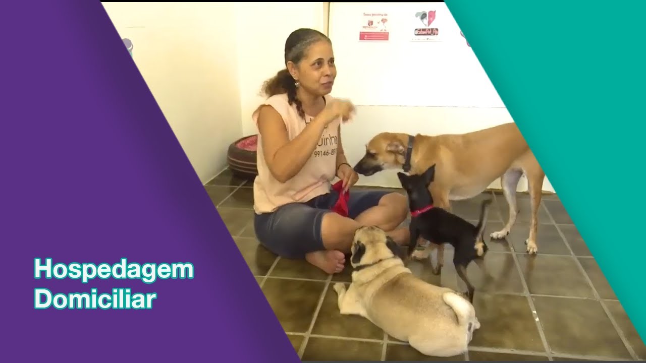 Hospedagem Domiciliar