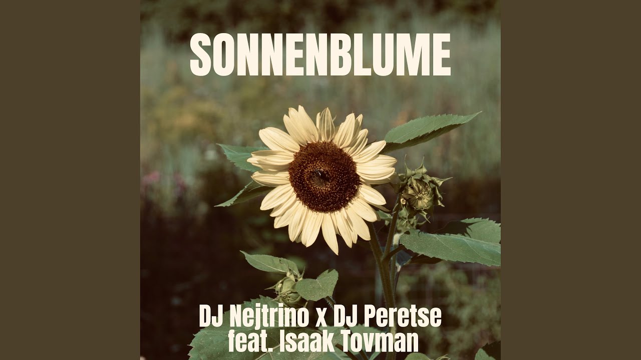 Sonnenblume