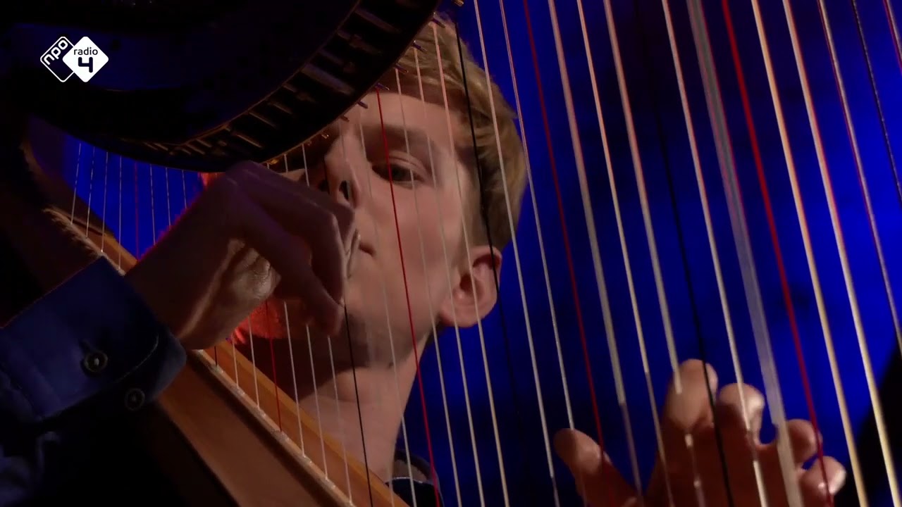 Yann Tiersen - Comptine d'un autre été (Amélie) - Joost Willemze, harp