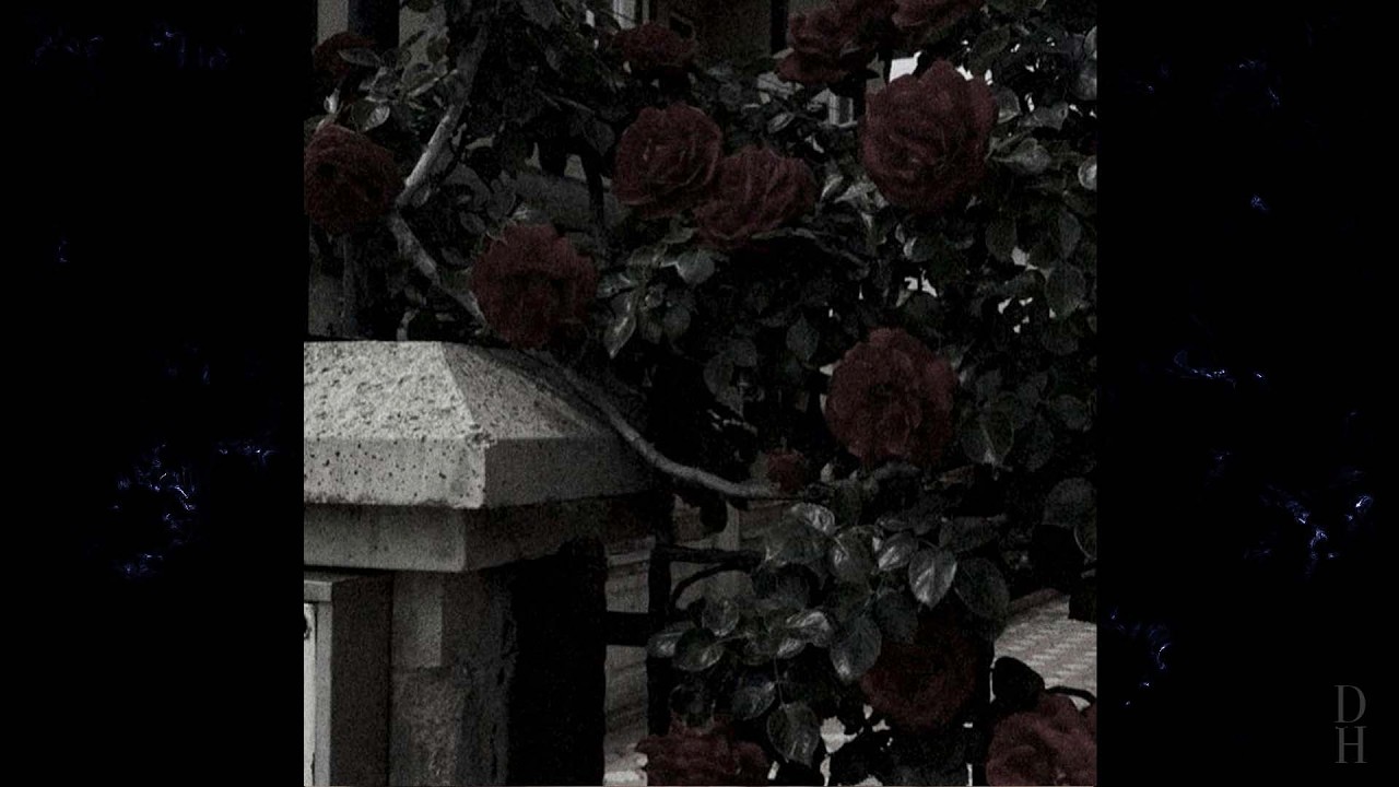 [FREE] Dark x lil peep type beat - 'Dead roses' (prod.deatheart)