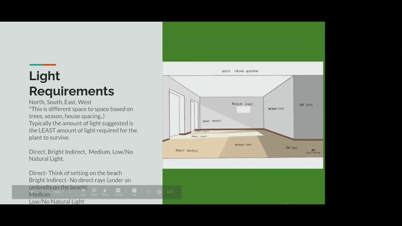 Houseplant Parenthood presented by Rachel Guffey, Douglas County EMG and owner of Jungle House