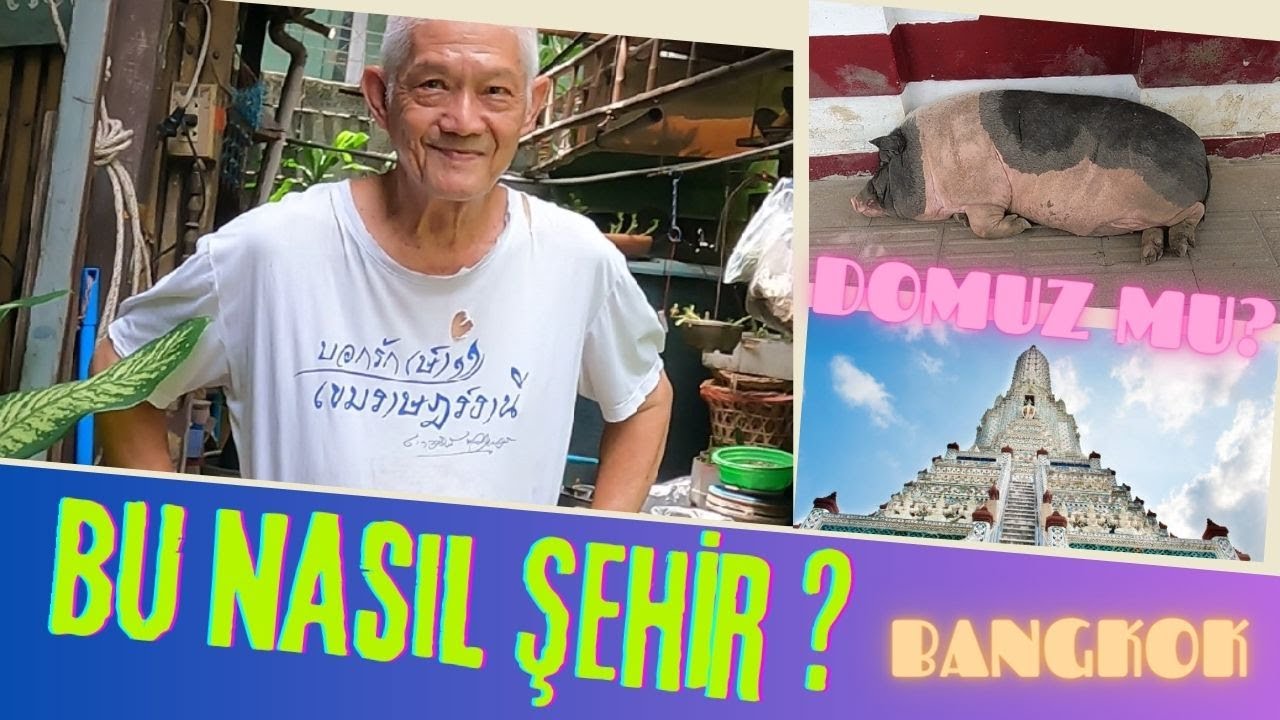 #19 Mistik Bangkok: Tapınaklar, Domuzlar ve Sokakların Gizemli Dünyası