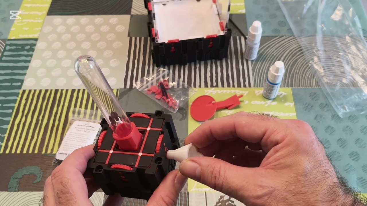 Ant Qbik hormiguero modular 