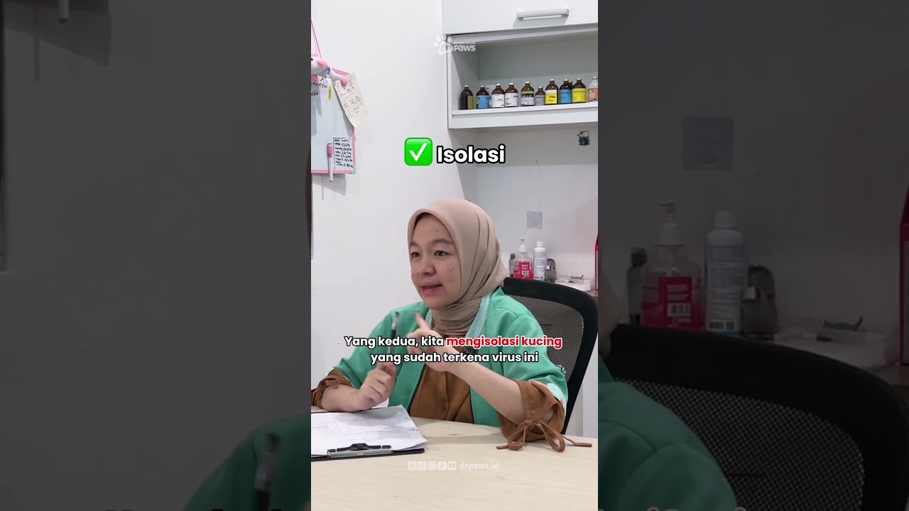 Virus Mematikan Pada Kucing #DRPAWSCALL #DRPAWS #petcenter #klinikhewanjakarta #petshop #petcare