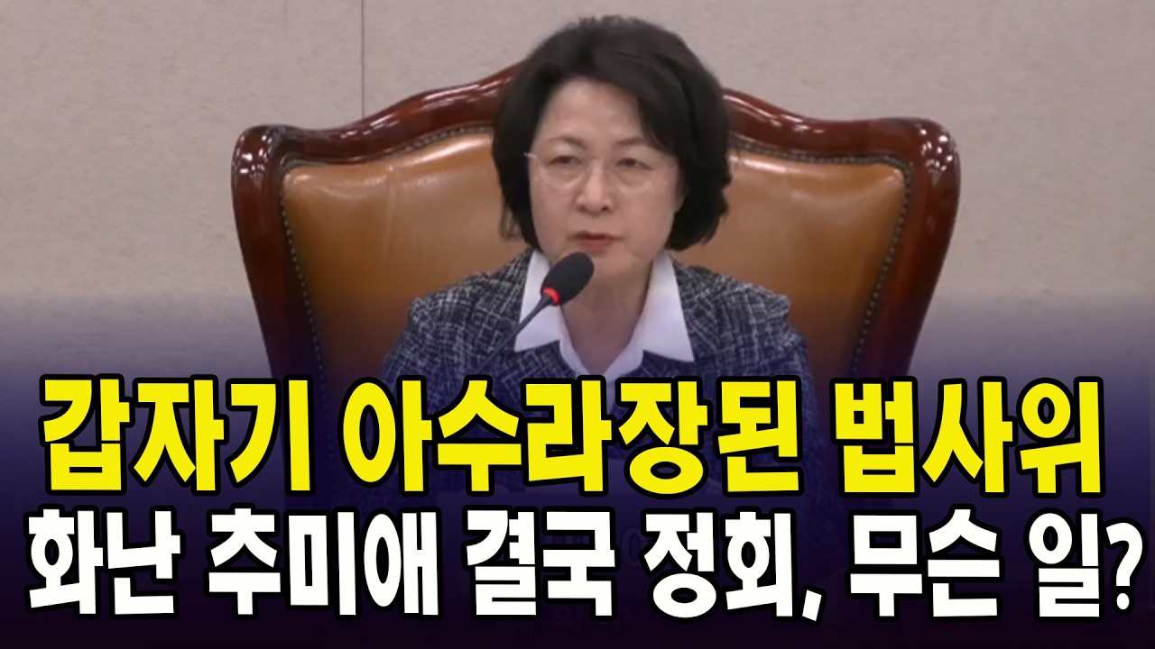 갑자기 아수라장된 법사위.. 화난 추미애 결국 정회, 무슨 일?