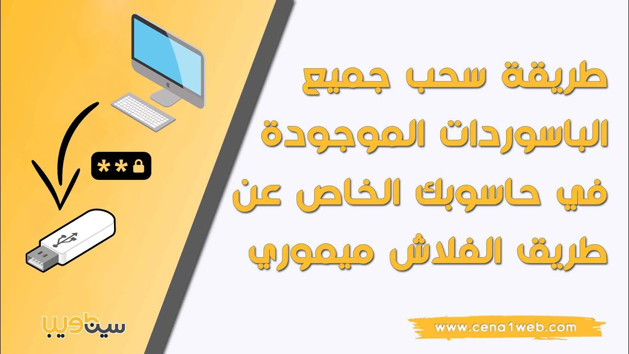 طريقة سحب جميع الباسوردات الموجودة في حاسوبك الخاص عن طريق الفلاش ميموري