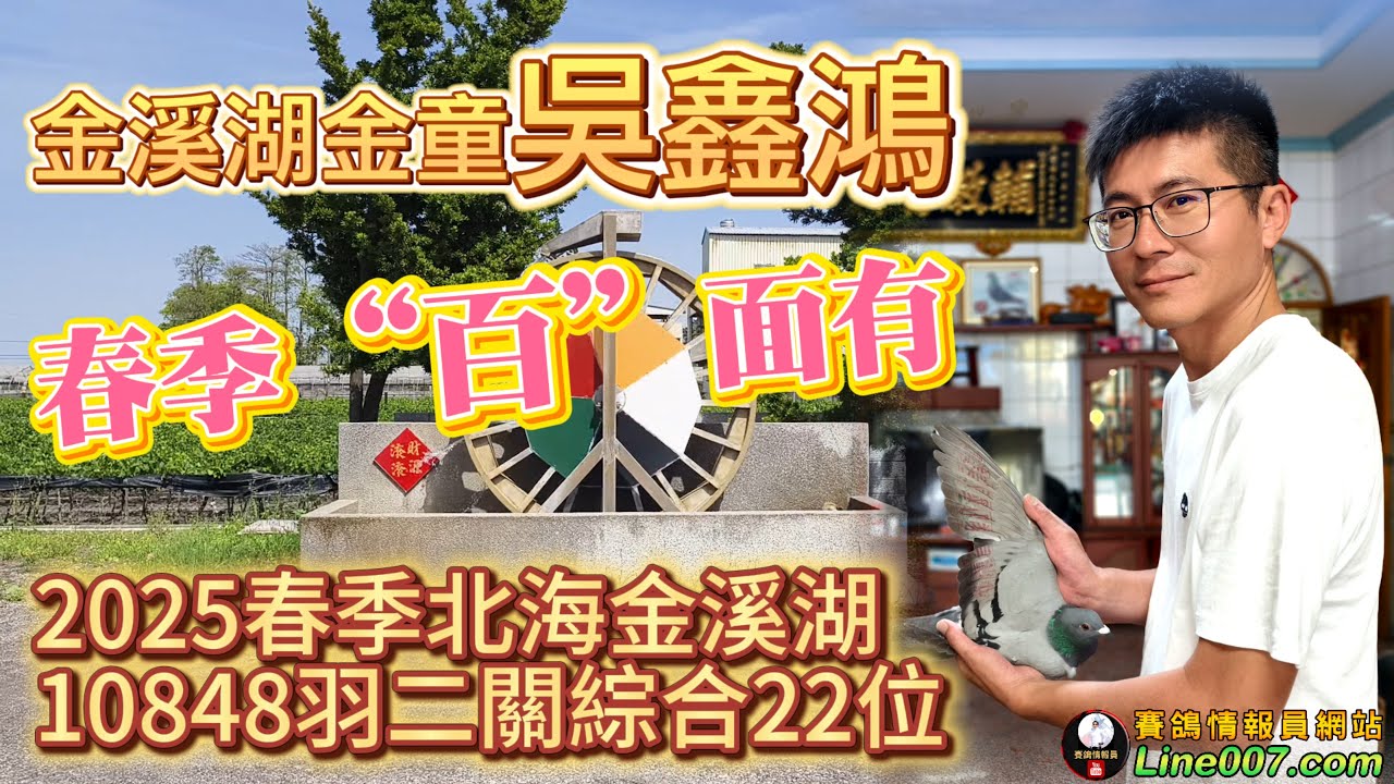 春天“百”面有！2025年春季北海金溪湖二關綜合22位(有格50羽)作翔者吳鑫鴻專訪 #賽鴿 #種鴿 #鴿種 #鴿系 #百添鴿舍 #潘百傳 #強豪 #半世精髓