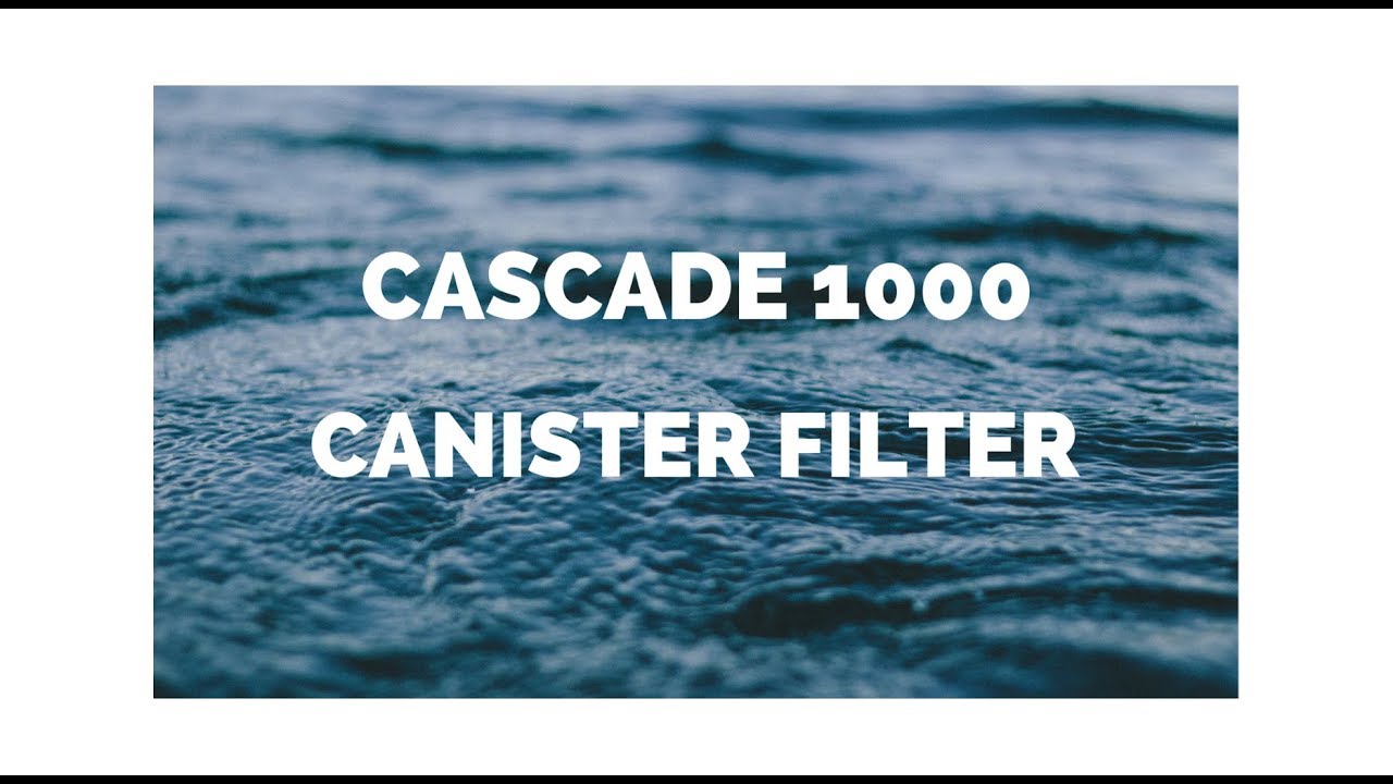 Установка и настройка канистрового фильтра Cascade 1000 | Turtle Tank Filtration