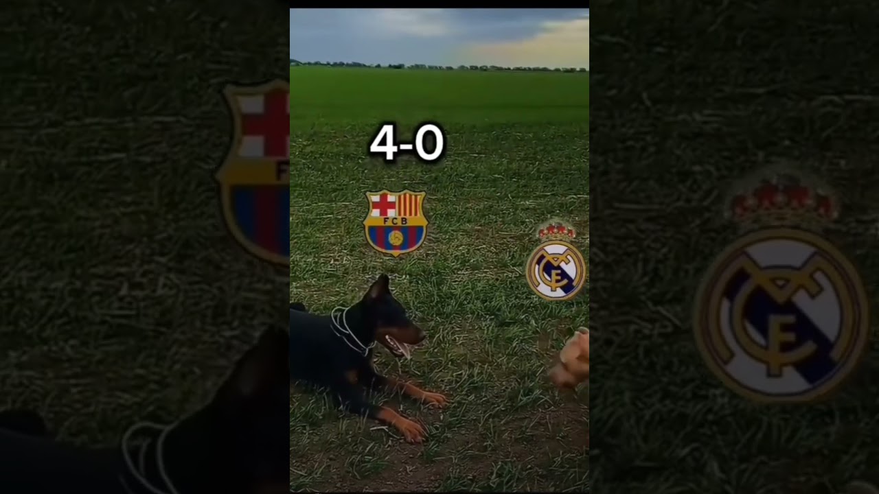 Bar&ccedil;a🤫 HALA MADRID!🤍 Реал Мадрид🤍 #football #Барселона🤝РеалМадрид  Barcelona🤝RealMadrid #edit