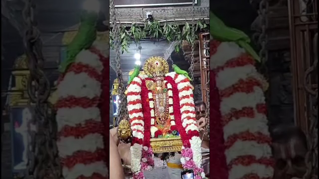 Tirukachi nambi  utsavam day 7