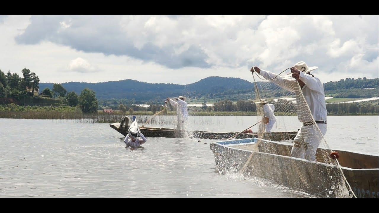 BANDA LLANO VERDE - EL SON DEL PESCADOR (Video Oficial)