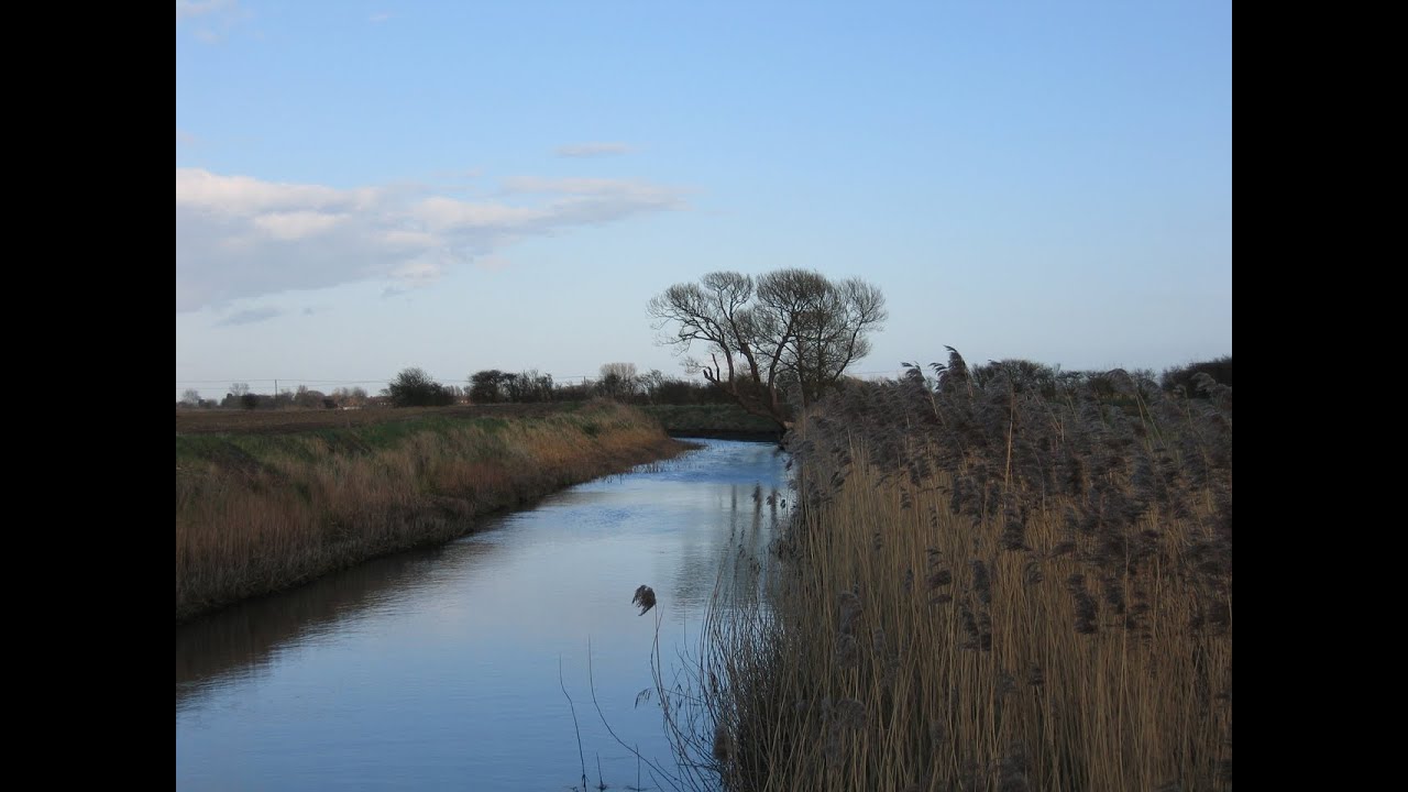 Romney Marsh
