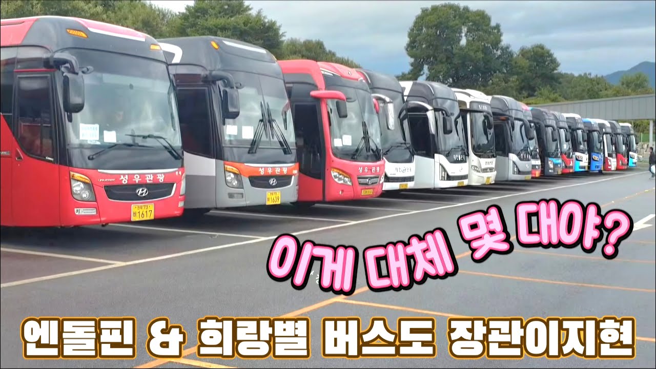 박지현 & 김희재! 몇 대의 랩핑 버스가?!?! [241003 임실치즈축제 개막식]