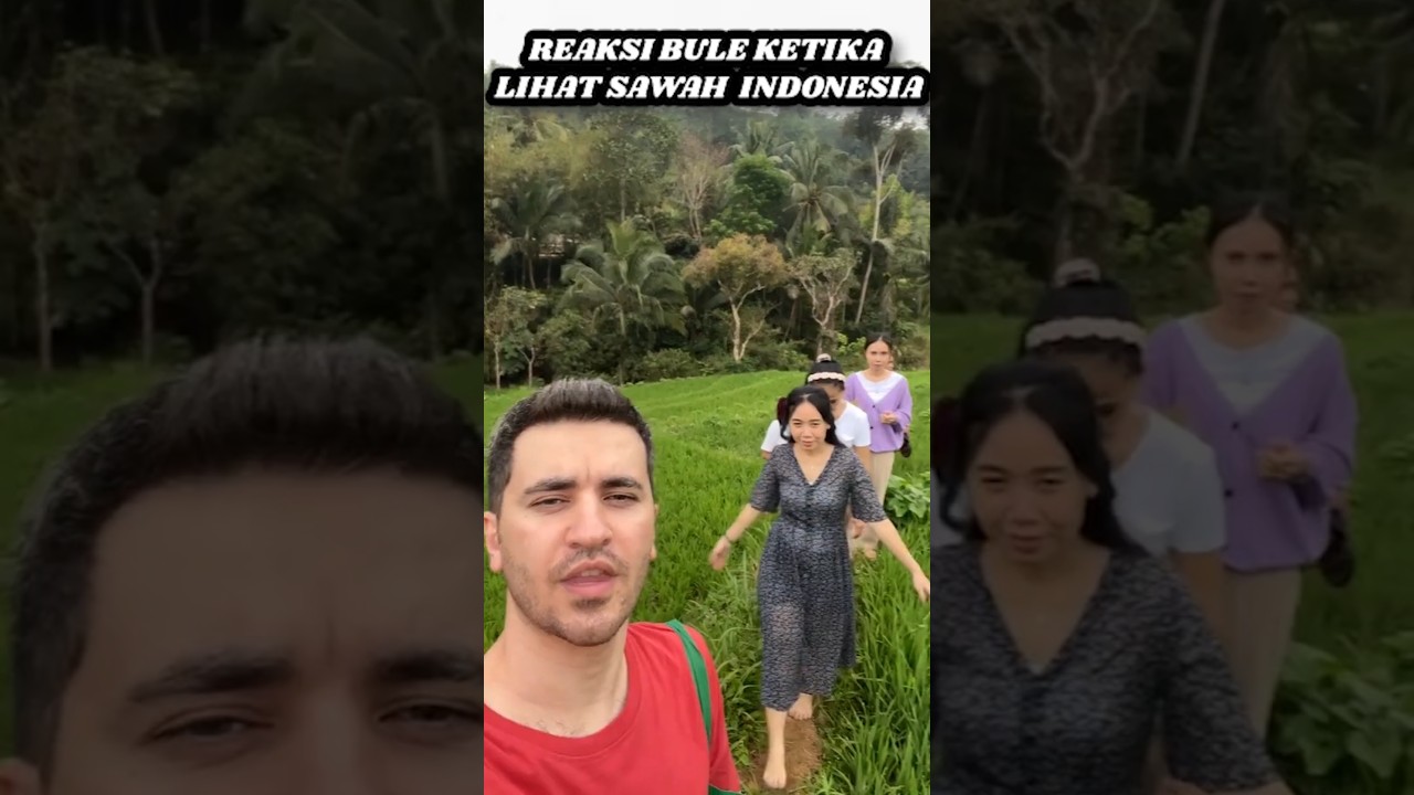 REAKSI BULE KETIKA LIHAT SAWAH DI INDONESIA