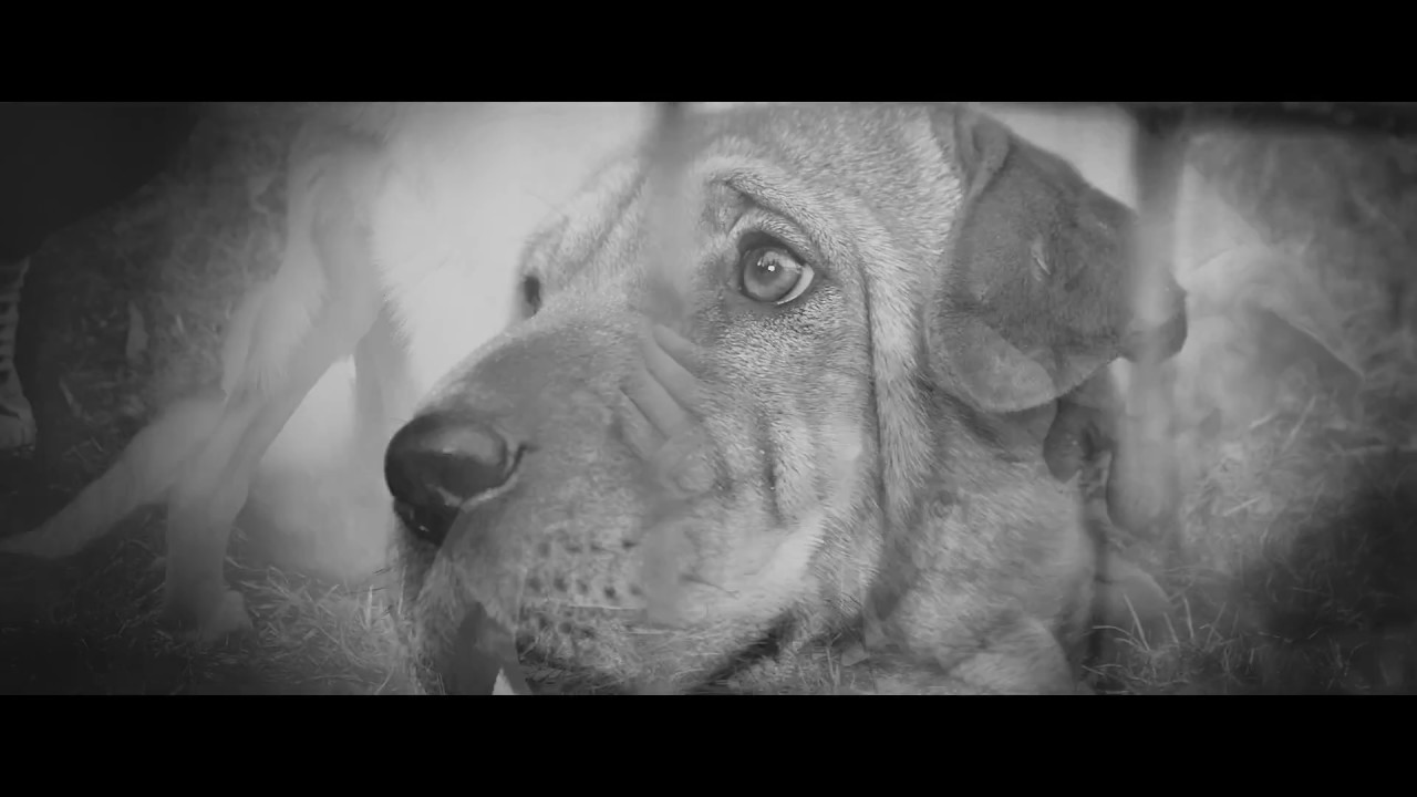 Jam Balaya - Az Út Szélén (közr.Vészk'járat, Linda) [Videóklip]