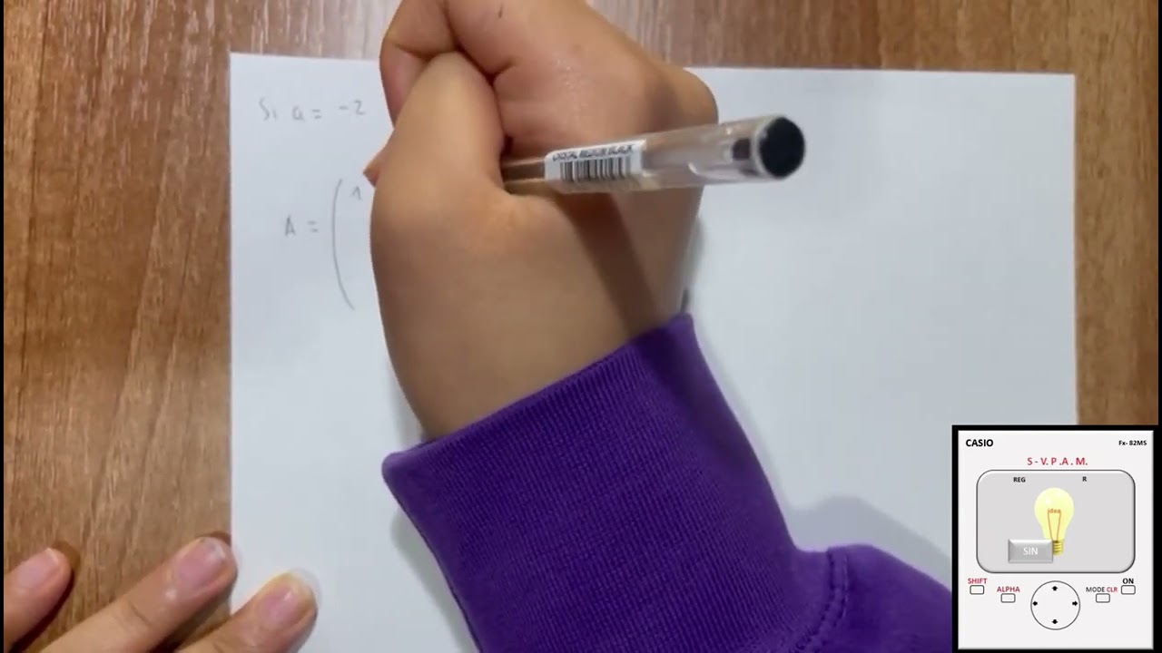 Ejercicio1, Opci&oacute;n A, EvauMadrid/Junio2019/VideoFinal_Luc&iacute;aSoto