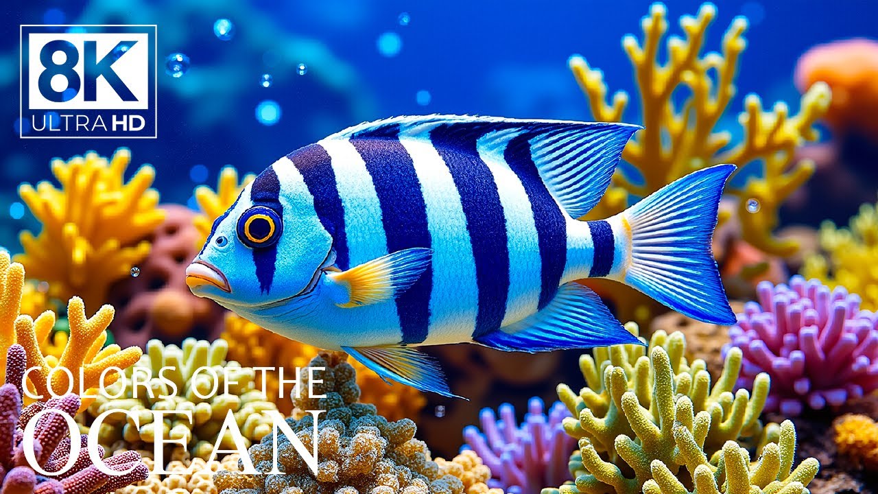 ✨ Luminescent Ocean | 8K HDR ULTRA HD &ndash; Radiant Coral Glow & Silent Deep Sea Calm