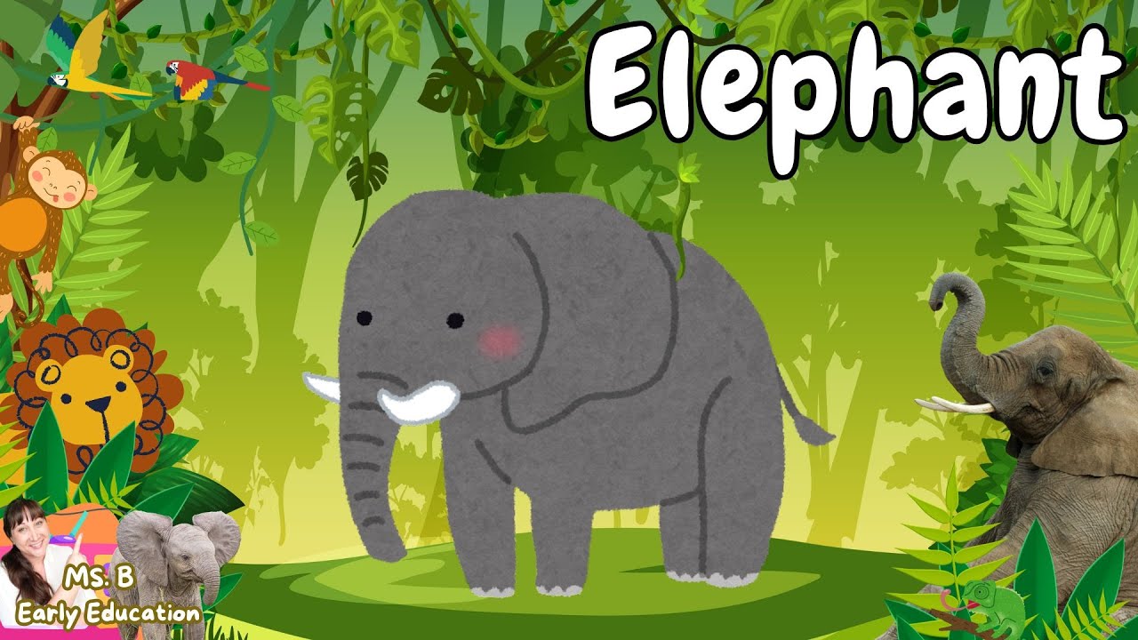 Toddler Learning | Zoo, Farm & Wild Animals Compilation 🦁🐄🐻 | Pets & Alaska Animals Names & Sounds