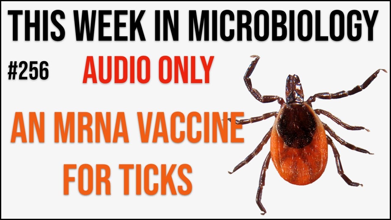 TWiM 256: An mRNA vaccine against ticks