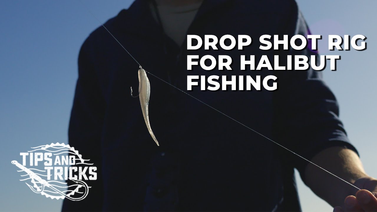 Halibut Fishing Tips | The Drop Shot