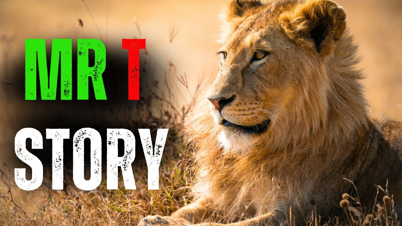 The Notorious Mr. T: The Story of Mapogo | The Most Ruthless Lion to Ever Rule the African Bush