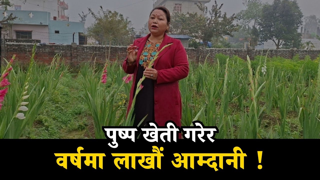 पुष्प खेती गरेर वर्षमा लाखौं आम्दानी | Ramu Oli