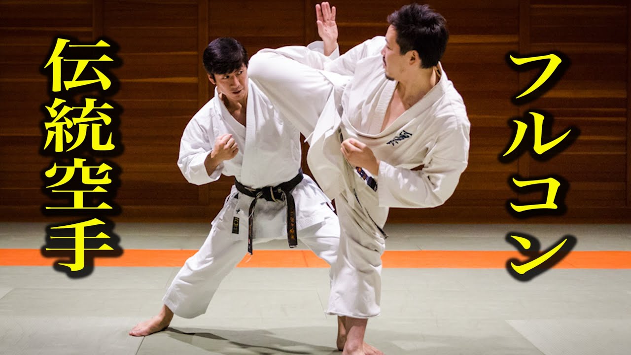 Verify! Traditional Karate vs Full contact Karate, how to fight?