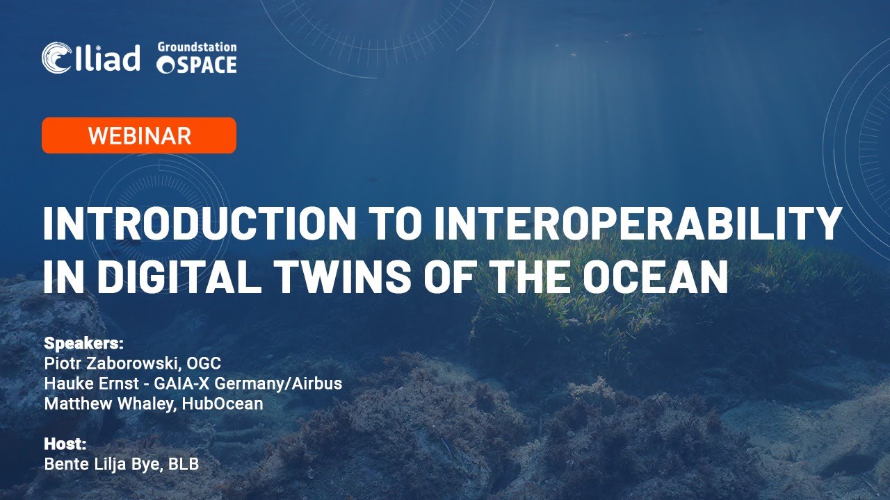 Introduction to Interoperability in Digital Twins of the Ocean