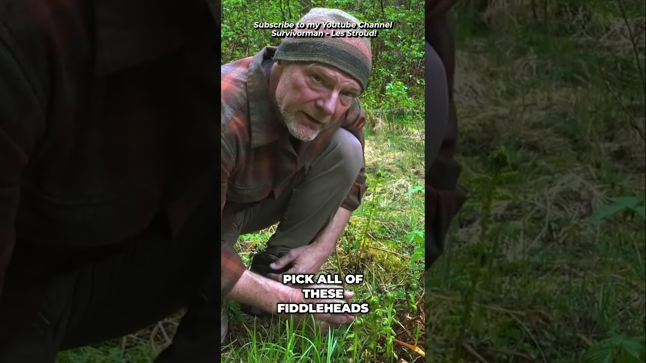 Survivorman | Responsible Foraging Tips | Les Stroud