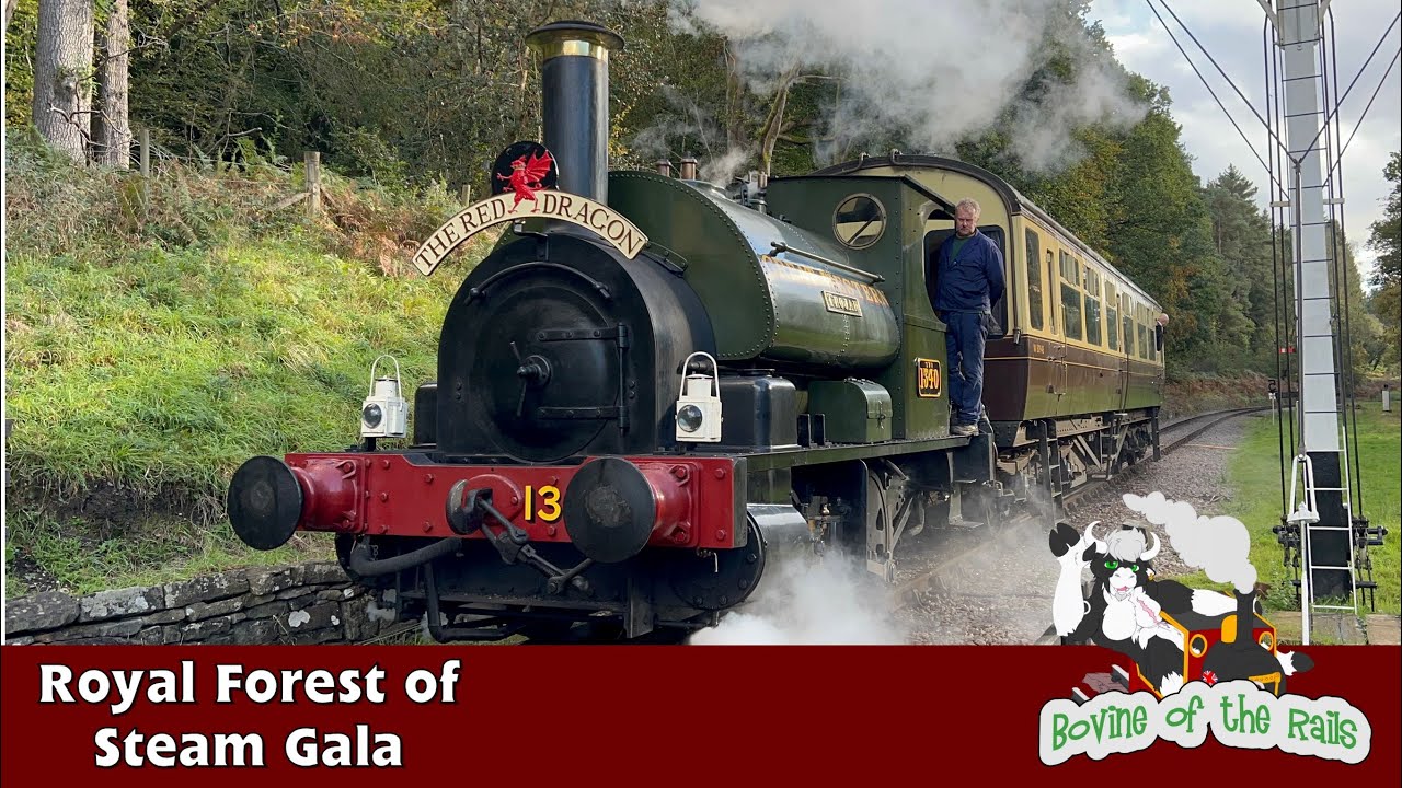 Royal Forest of Steam Gala - 14th October 2023
