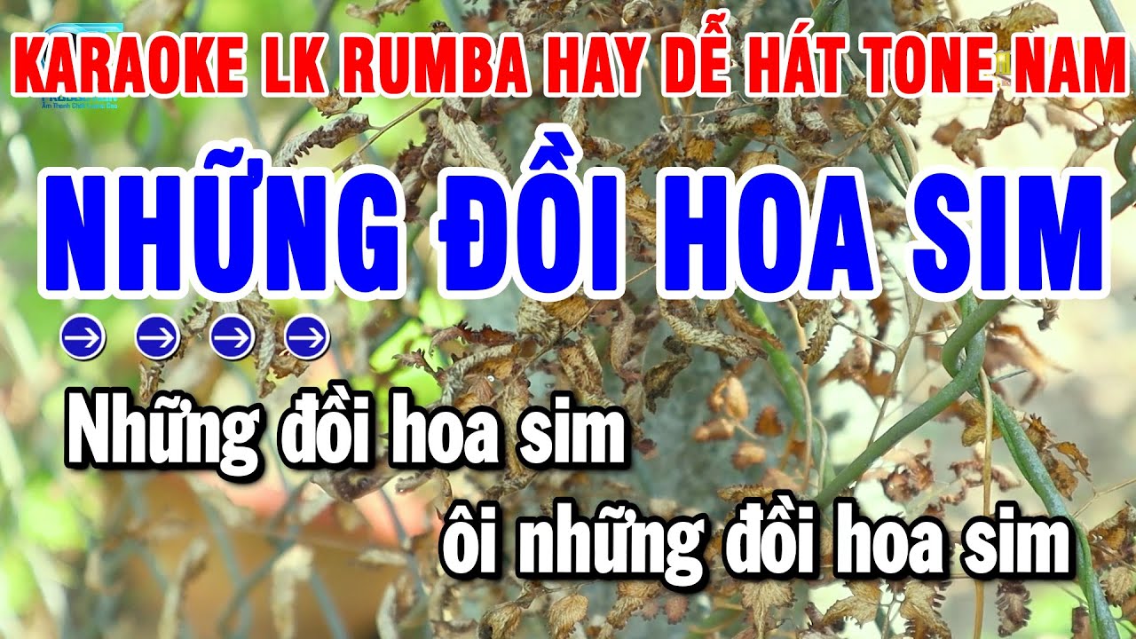 Karaoke Liên Khúc Nhạc Sống Tone Nam Hay 2025 | Những Đồi Hoa Sim - Chỉ Có Bạn Bè Thôi | Thanh Hải