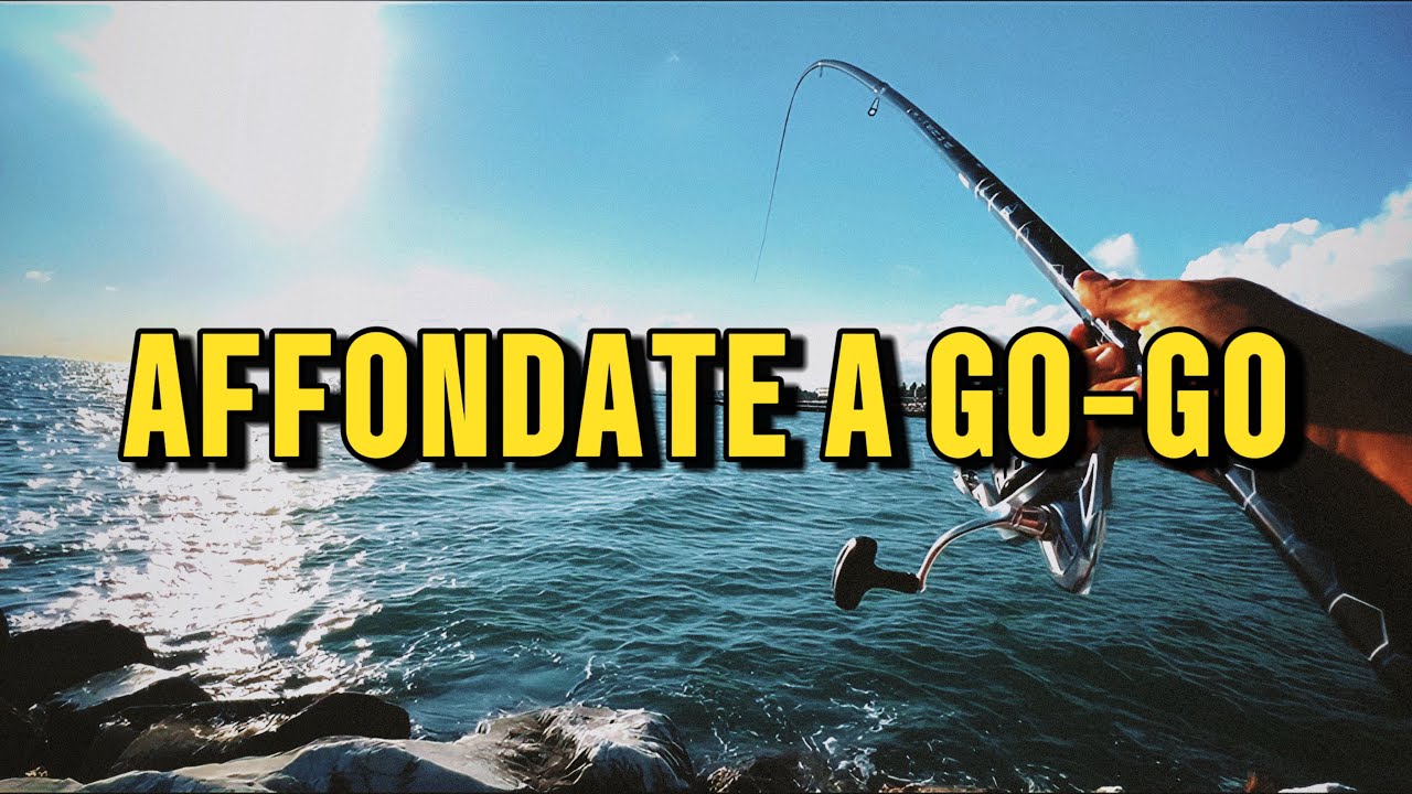 🎣AFFONDATE A GO-GO!🎣 Pescata a Bolognese dagli Scogli con Galleggiante Inglese &ndash;Relax Post-Lavoro-