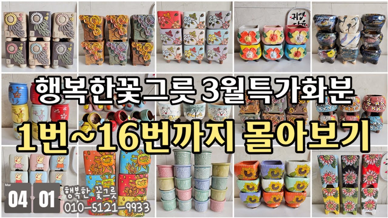 놓치신 분들을 위한 💥행복한꽃그릇 3월특가 화분💥 몰아보기 영상입니다 #다육이화분 #예쁜화분