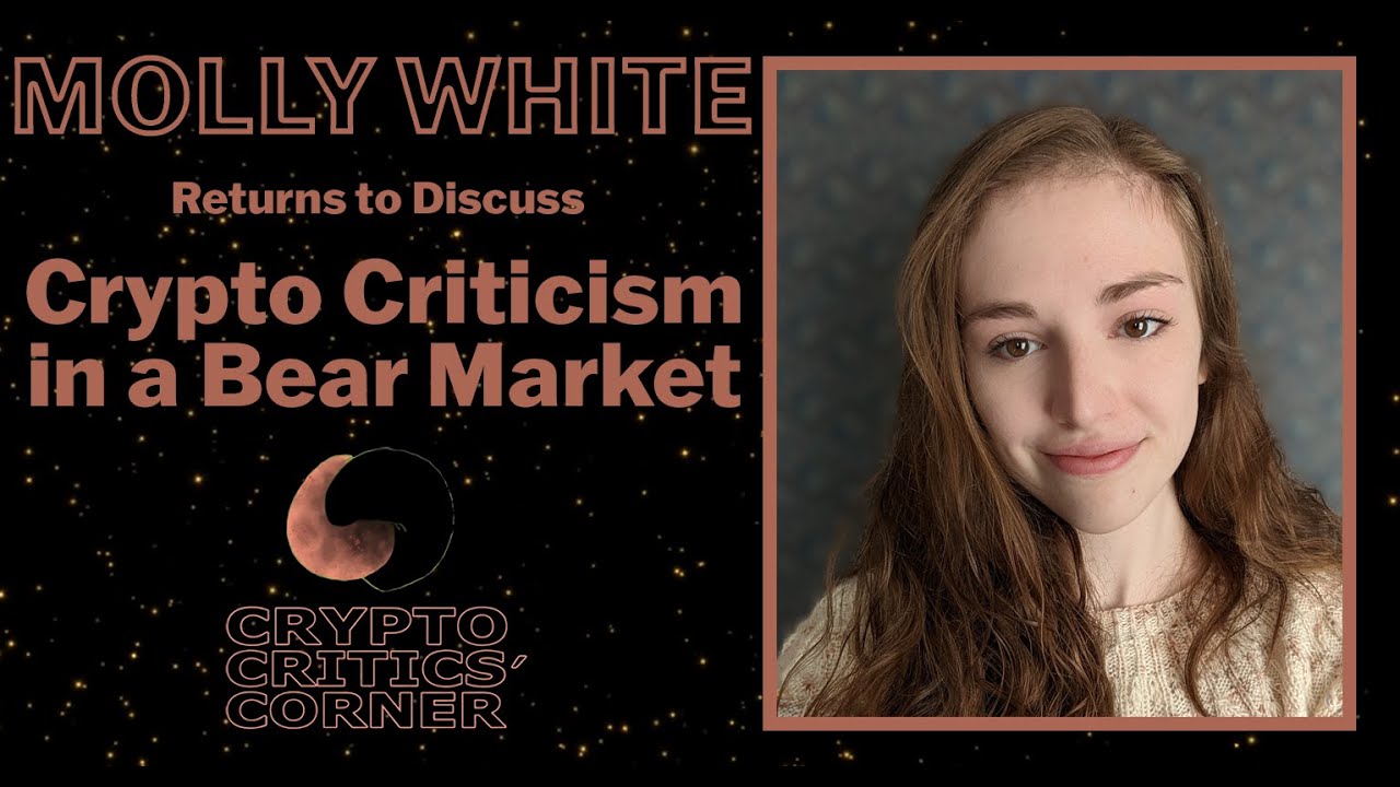 Cryptocurrency Criticism in a Down Market (feat. Molly White) - Episode 84