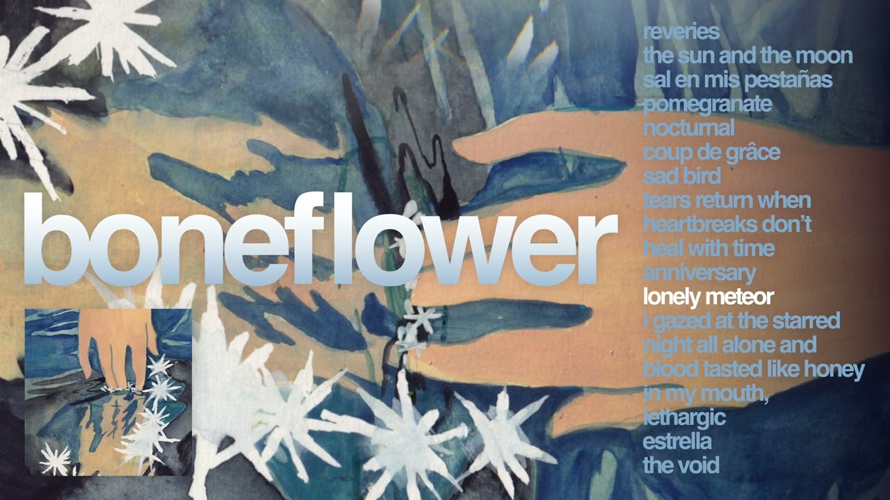 Boneflower 