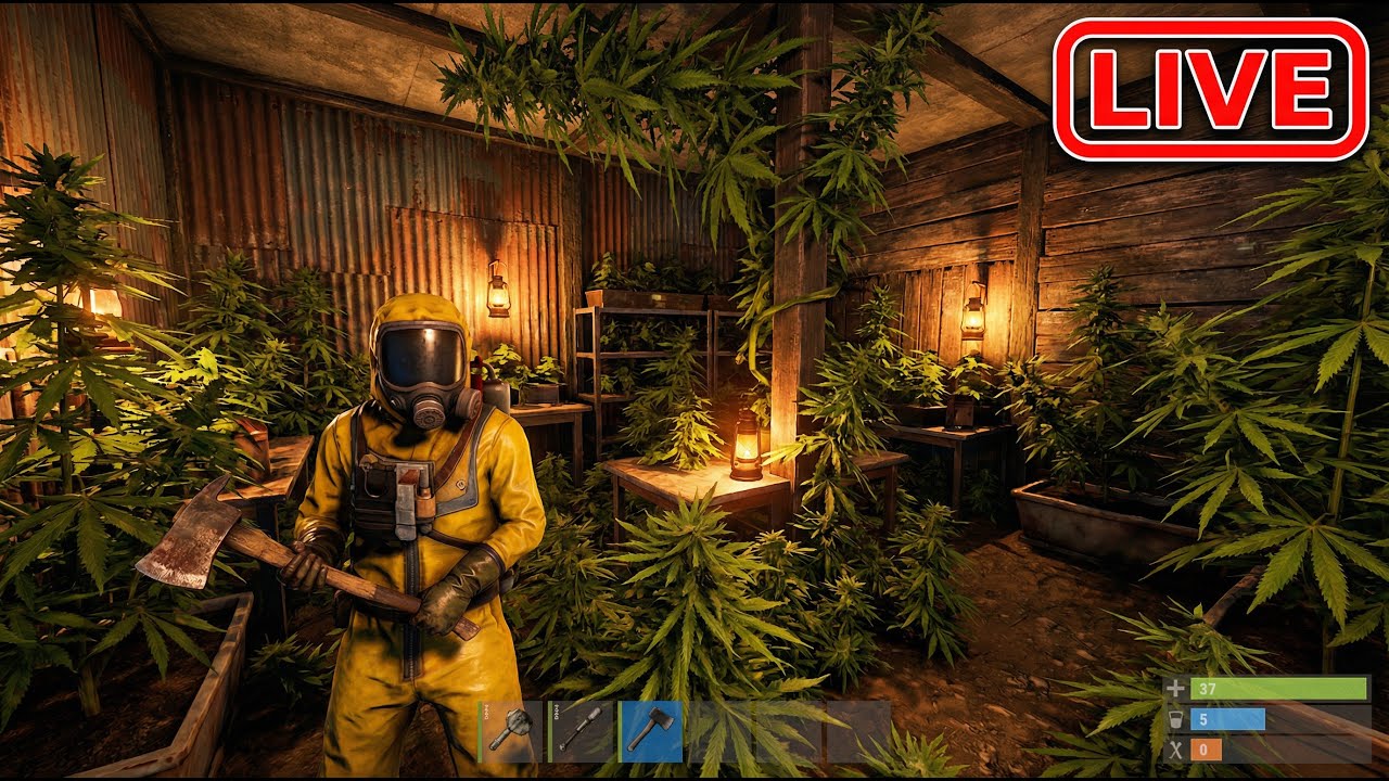 I Built a Hemp Farm in Rust and Sold Everything!