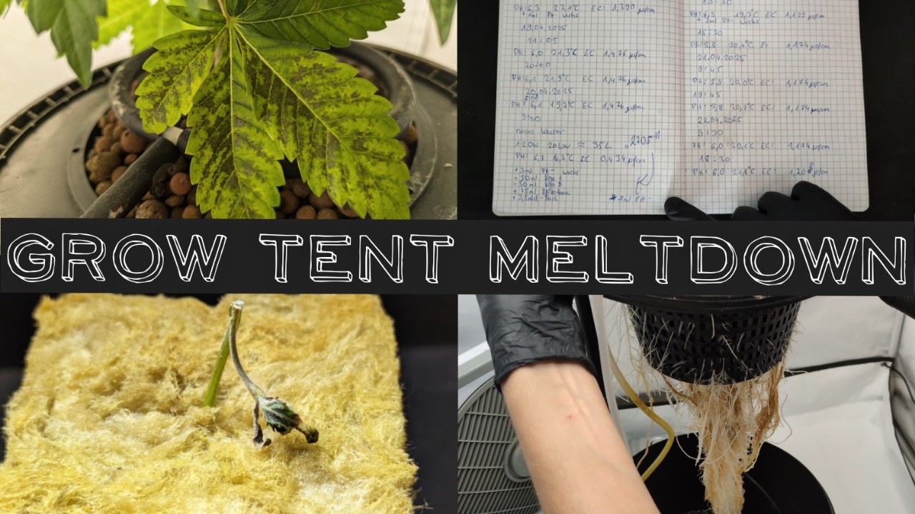 broken tools, dead seedling, stressed plants. Can this grow be safed?