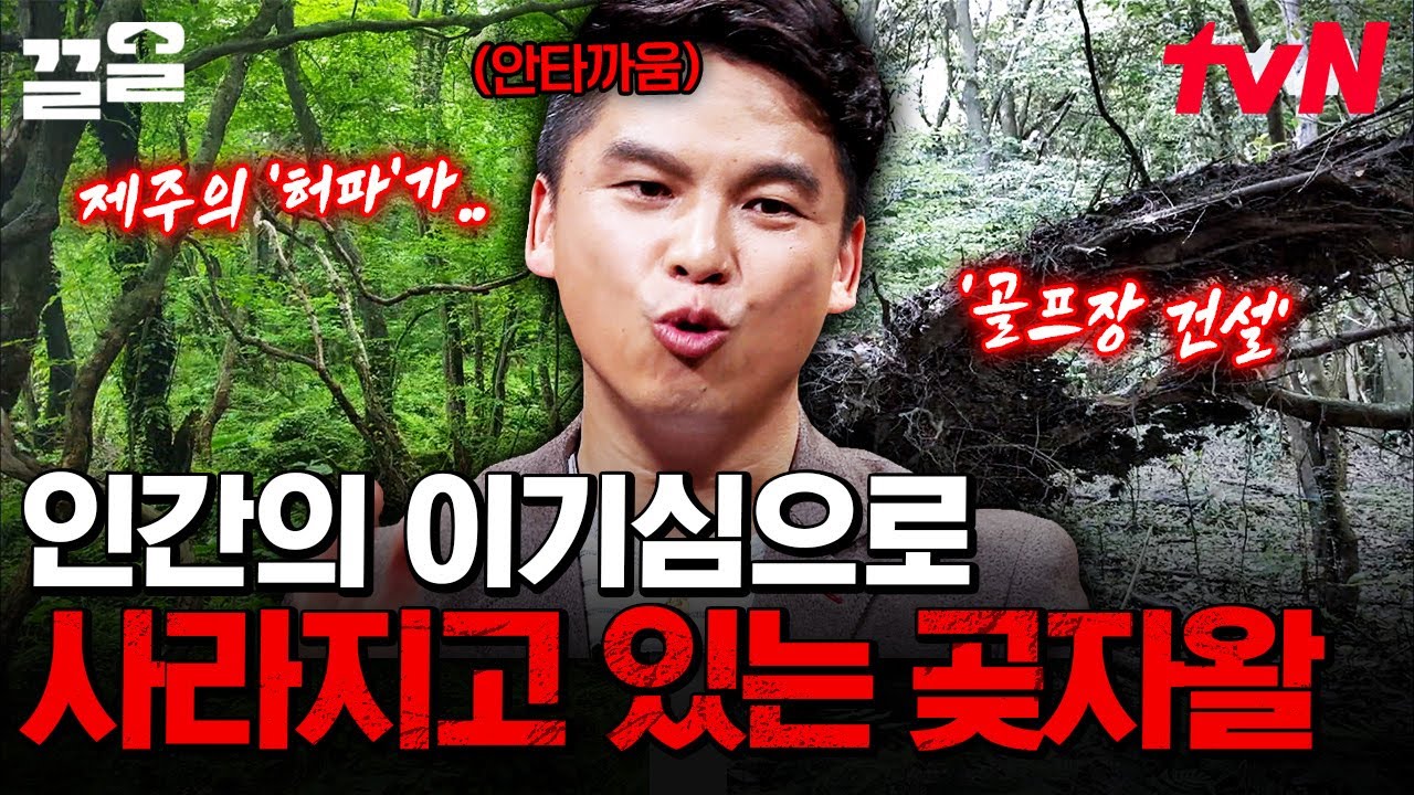 제주도의 '곶자왈'에 대해 아시나요? 사람에 의해 점점 사라지고 있는 제주의 허파, '곶자왈'💧 | 어쩌다어른